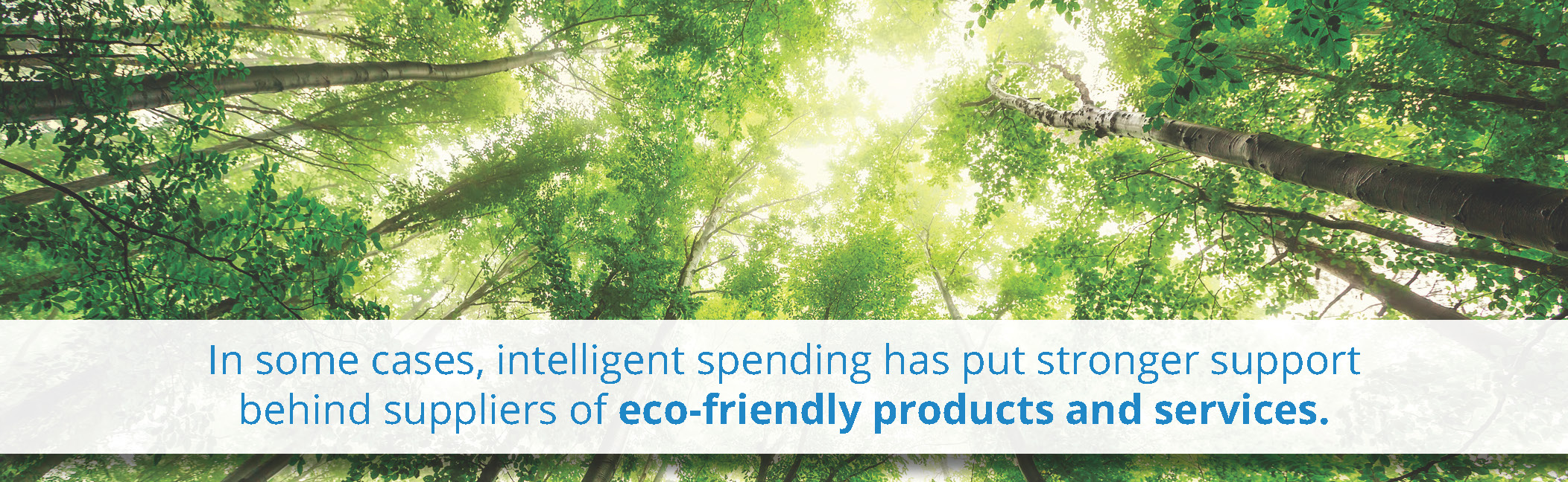Intelligent Spending Puts Strong Support Behing Eco-Friendly Products And Services